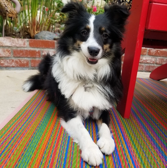 ❤️ - Picture 3 of 5